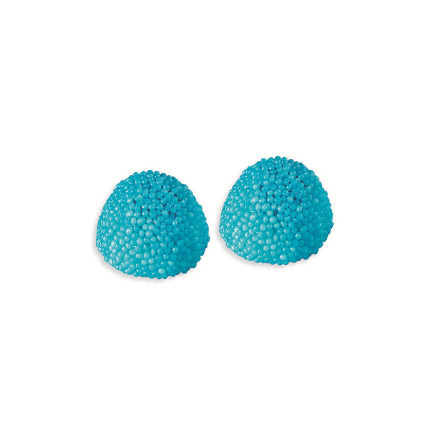 FINI MORAS AZULES BOLSA 1KG
