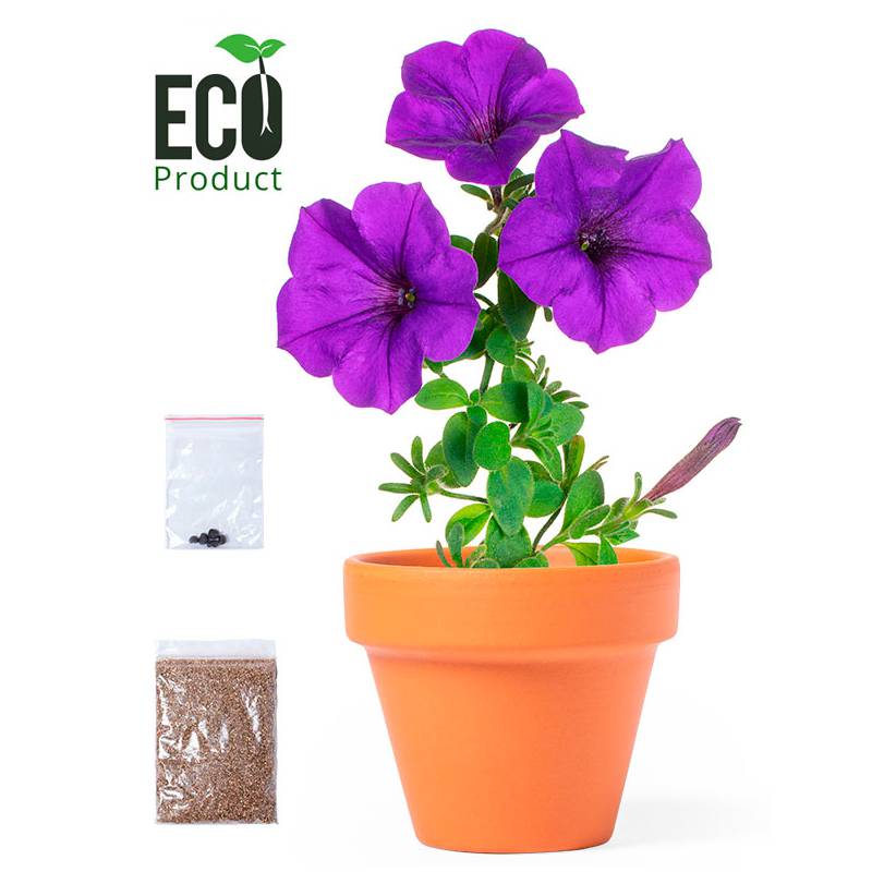 MACETA CON FLORES PETUNIA