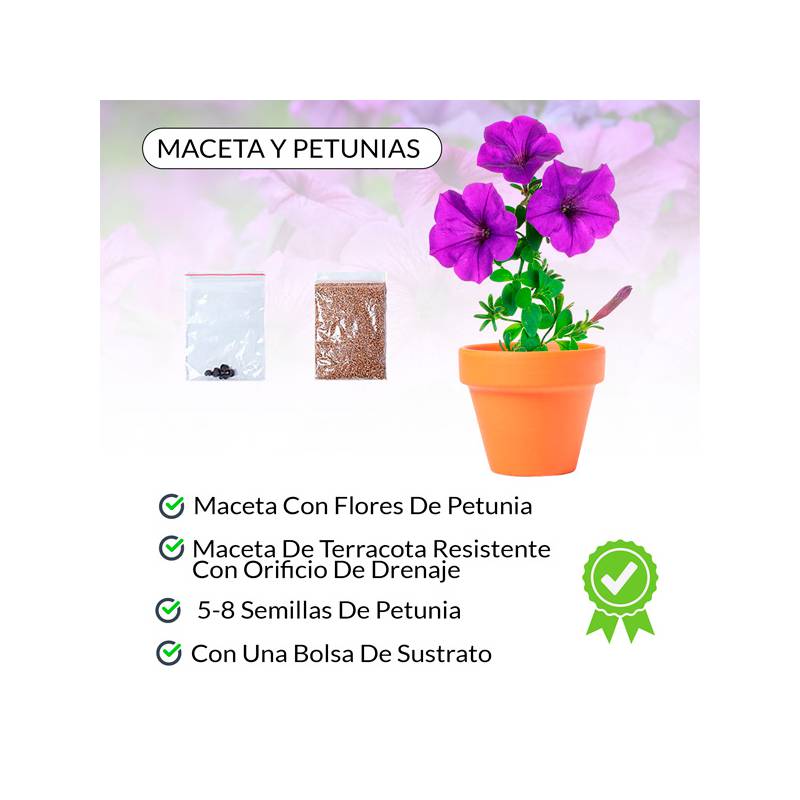 MACETA CON FLORES PETUNIA